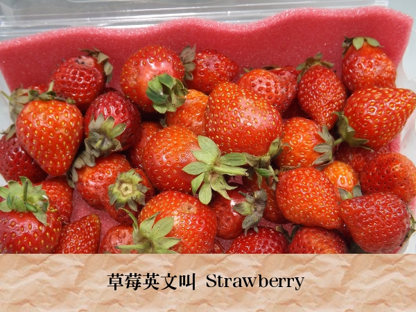 草莓英文單字是 strawberry