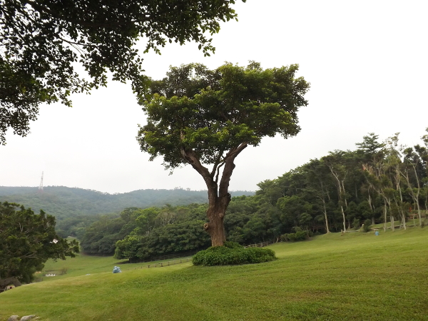 遠遠看過去是不是覺得心曠神怡呢