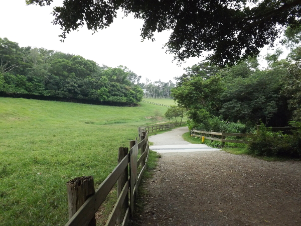 好美好像童話故事中的場景