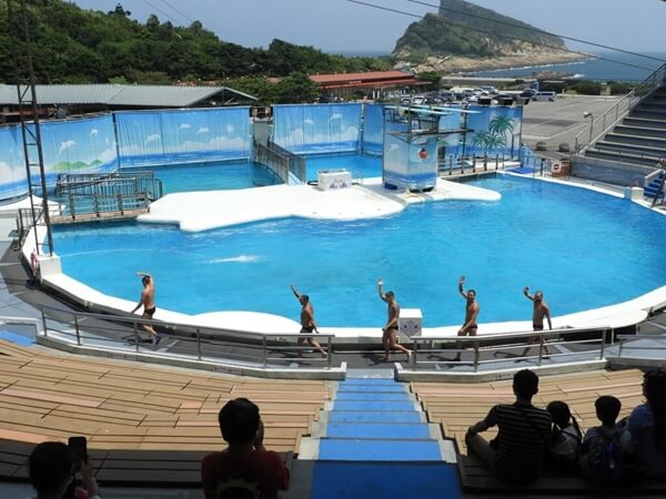 野柳海洋世界的水生物表演池